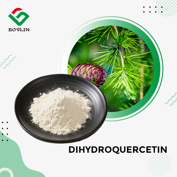 DHQ Dihydroquercetin