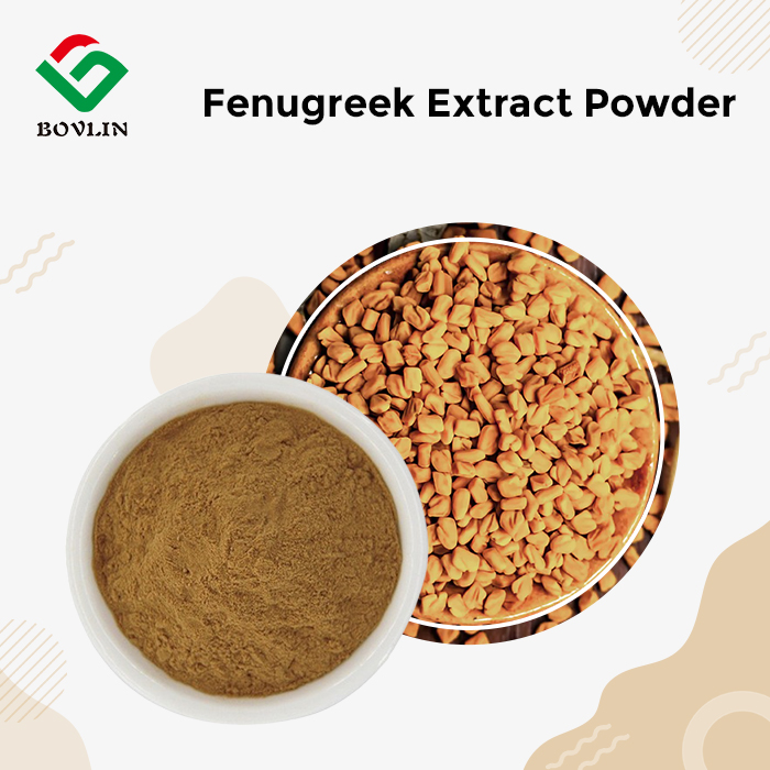Fenugreek Extract Powder Fenugreek Extract Powder