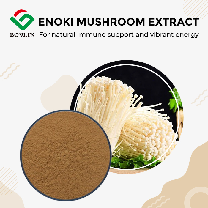 Enoki Mushroom Extract
