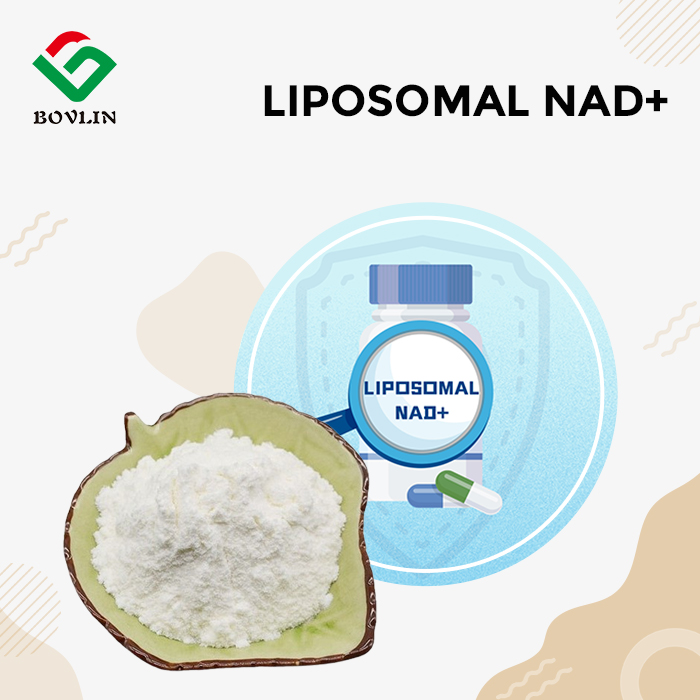 Liposomal NAD+