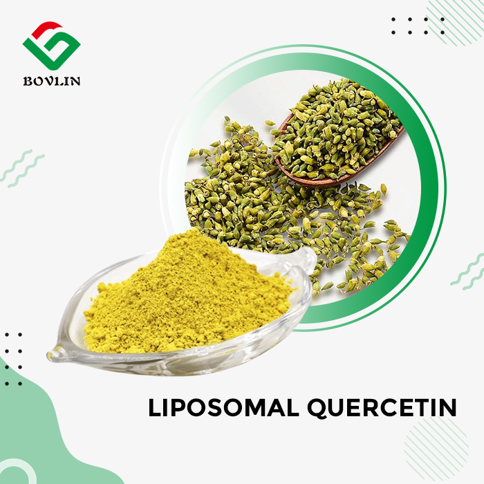 Best Liposomal Quercetin