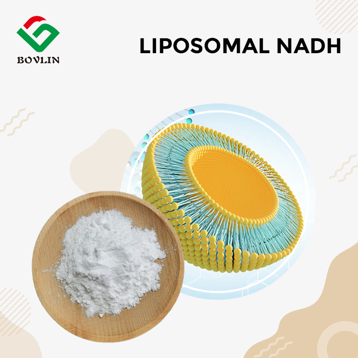Liposomal NADH