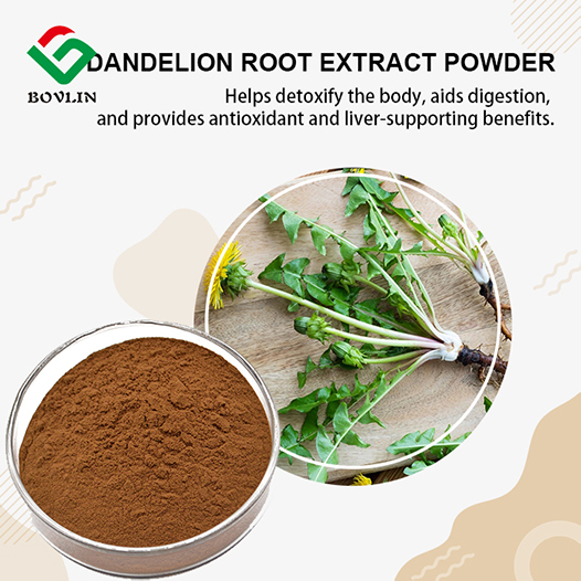 Pisanli Rasin ekstrè Powder