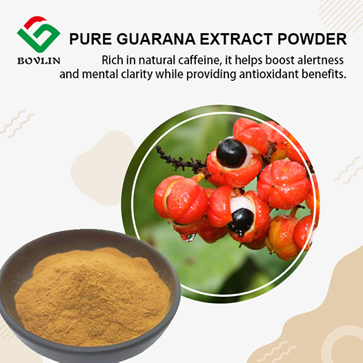 Pure Guarana Extract Powder