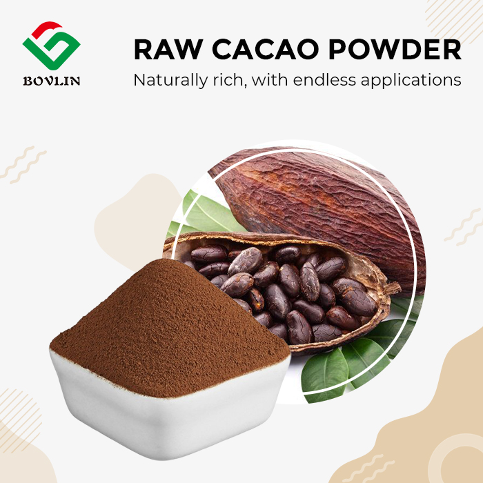 Best Raw Cacao Powder