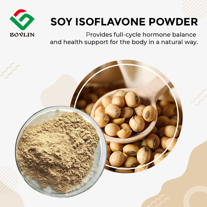 Soy Isoflavone Powder