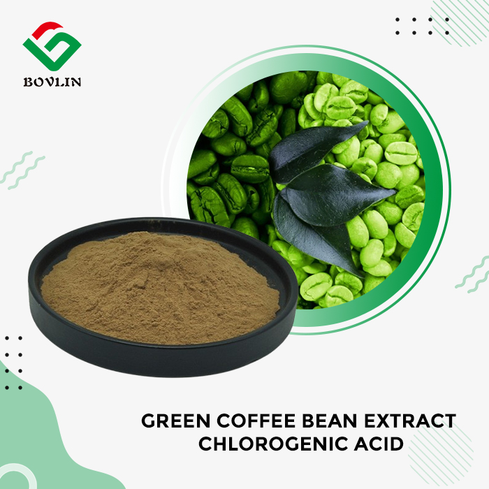 Green Coffee Bean Extract Chlorogenic Acid Green Coffee Bean Extract Chlorogenic Acid