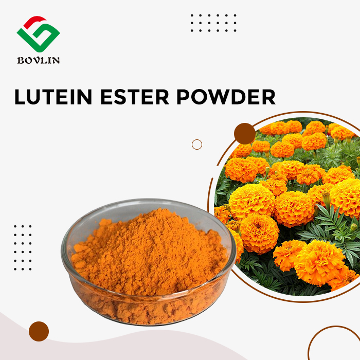 Lutein Ester Powder