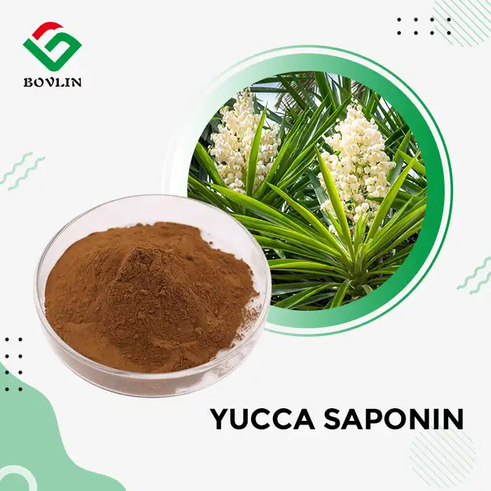 Yucca Saponin