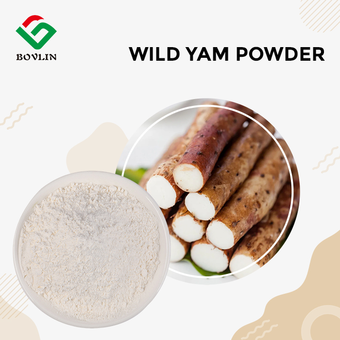 Wild Yam Powder