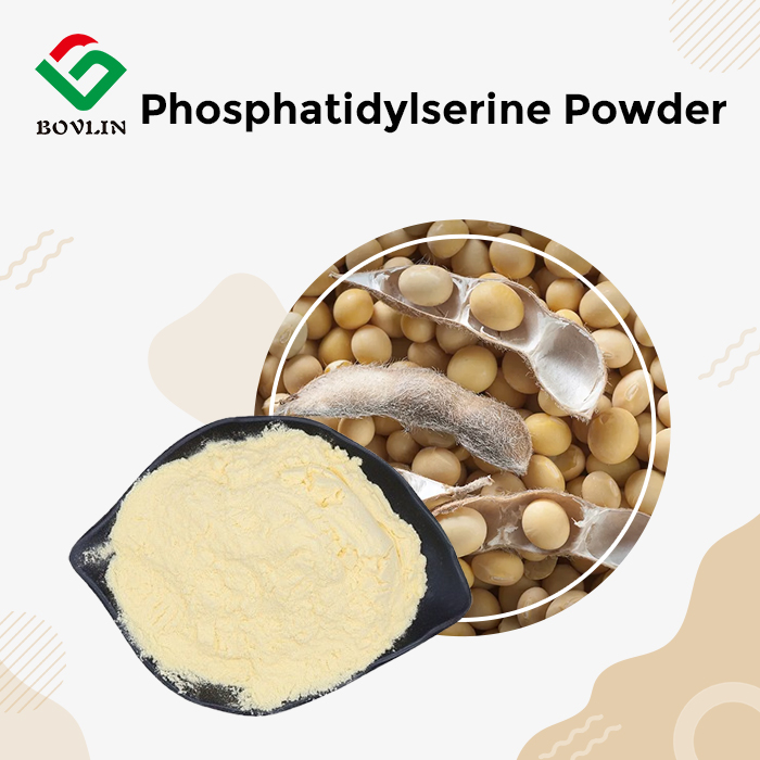 Phosphatidylserine Powder Phosphatidylserine Powder