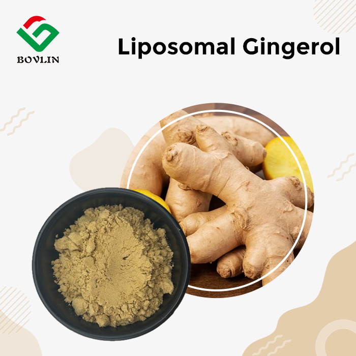 Liposomal Gingerol