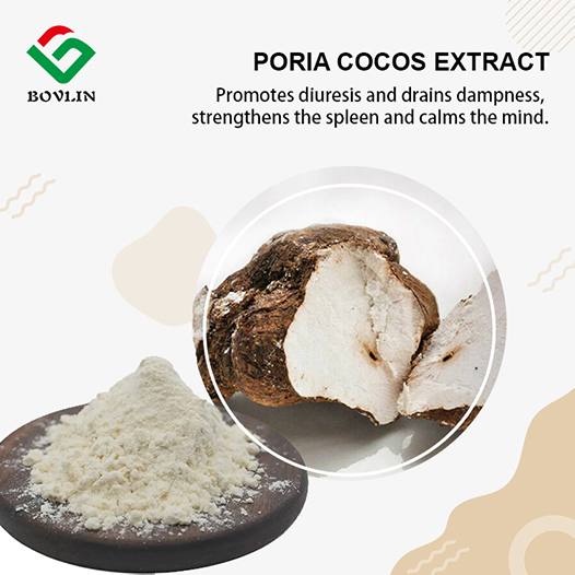 Poria Cocos Extract