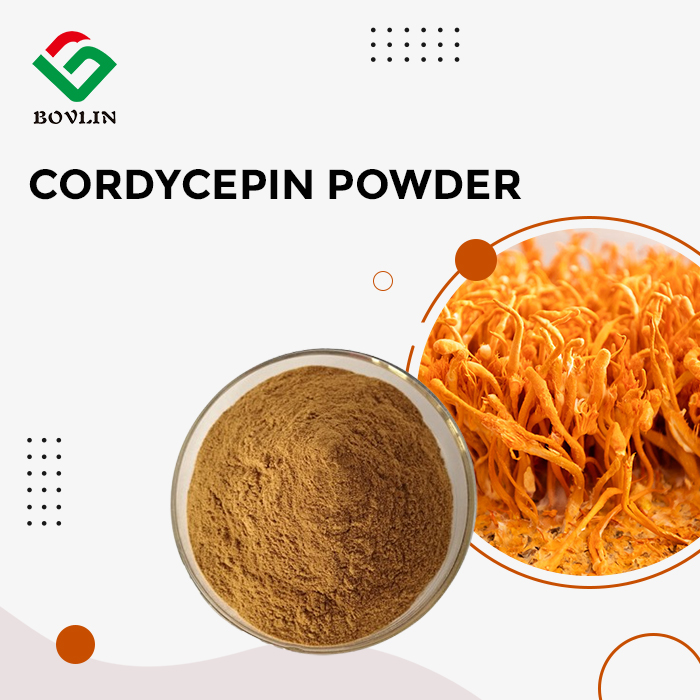 Cordycepin Powder Cordycepin Powder